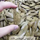 عود مروكي كنج