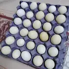 طبقين بيض بلدي طازج