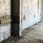 مقاول تليس