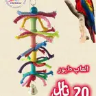 العاب خاصه بالطيور اللعاب الطيور الناطقة والمغردة