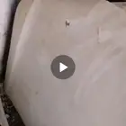 كبوت جيب لكزس من 2008 إلى 2015