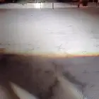 انوار زنون عدسات محولات شمعات اسطباات كشافات تفصيل شمعات