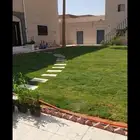 بسم الله الرحمن الرحيم