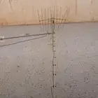 اريل تلفزيون الطيبين