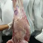وصلت اليوم شحنة تيوس حبشيه مبرده للجمله الكيلو فقط 33 ريال