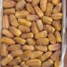 رشوديه جديد لين جديد 3 كيلو