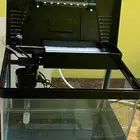 حوض سمك وملحقاته مجانا