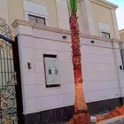 تكريب و تقليم و تنظيف النخل قص النخل صيانة النخيل