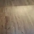 باركيه