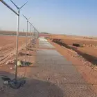 شبوك مزارع شبوك حكوميه