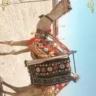 أستأجر خيول وجمال