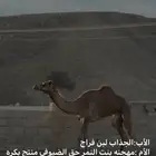 لقيه كفو