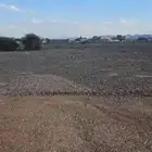 أرض للبيع في ابيار الماشي في افضل مربع