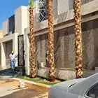 نخل واشنطن ملكي للبيع  نخل مضمون على الشرط