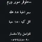 دود عتل سوبر ورم حي لطيورو الأسماك تغذيه طبيعيه