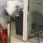 شركة مكافحة الحشرات والنظافة