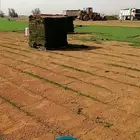 ثيل طبيعي سي الفين