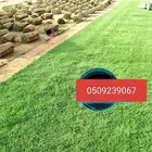 تيل سي 2000 صافي طبيعي جرى تقولي