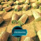 ثيل طبيعي عشب صناعي