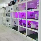 فندقه خمس نجوم يستحق حيوانك الاليف الراحه التامه