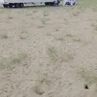 راس سحب التيادر والكرفانات
