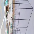 مقاول شبوك