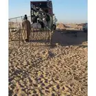 نقل غنم مواشي