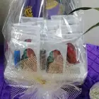 توزيعات غمره والحناء