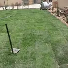 مشتل تنسيق حدائق