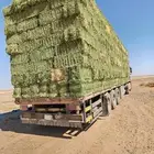 السلام عليكم ورحمه الله وبركاته برسيم صافي