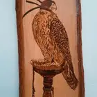 لوحة الصقر رسم بفن الحرق على الخشب