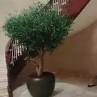 اشجار زيتون صناعي