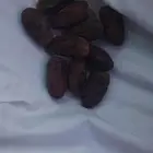 خضري خاخر