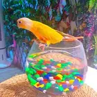 فرخ صن شيك هدد 850 ريال تم البيع