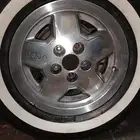 جنوط شروكي