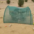 توريد أنخيل وغرسه واشنطن وعربي وتركيب الشبوك والسواتر بجميع
