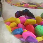 سمك الفايتر   أهدي من تحب