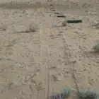 السلام عليكم ورحمه الله ابو عبد الله المقاولات الشبوك والصيا