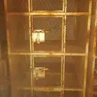يوجد شبوك دجاج