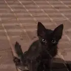 حاله انقاذ