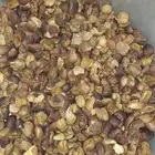 قشر خولاني سعر الكيس500وزن 50k
