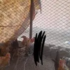 افروخ للبيع