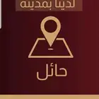 يتوفر نشارة مصانع وخيول ودواجن