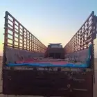 تريله نقل الإبل والهجن