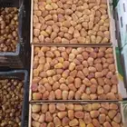 رطب سكري الكميه 1000 السعر 25 ريال