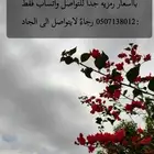 معلمه خصوصيه وخدمات الكترونيه