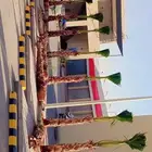 نخل وشنطونيا لزينت القصور والفلل والاستراحات والبيوت