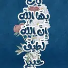 مصمم محترف (تصميم) صور فيديو انفوجرافيك