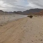 نقوم بتوريد وتركيب جميع انواع الشبوك والهناجر والمضلات