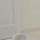 دهان مصري ومقيم في جده حي الحمدانيه لو أحد عنده شغل بويه تحت